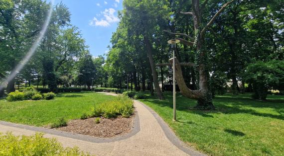 Park w Ożarowie Mazowieckim